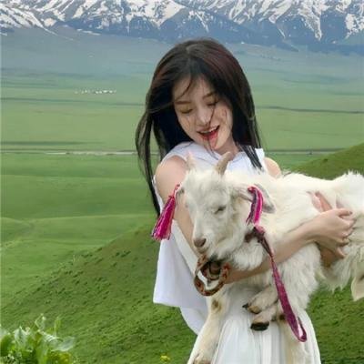 钢铁入侵者